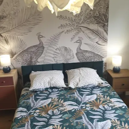 L'echappee De 10 Min From The 24 Of Le Mans فيلة *